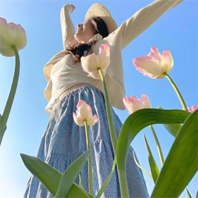 国土安全第二季