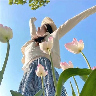 费德勒：最后的12天